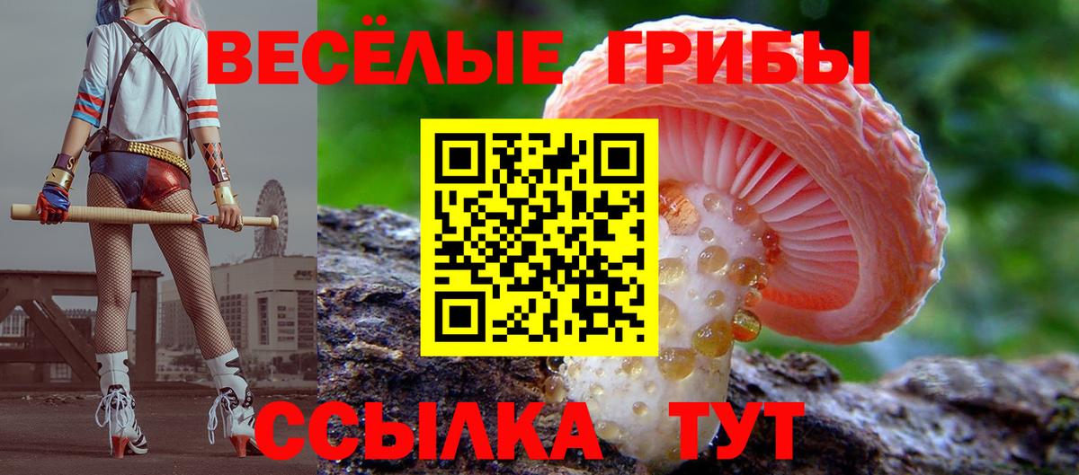 Галлюциногенные грибы Magic Shrooms Заводоуковск